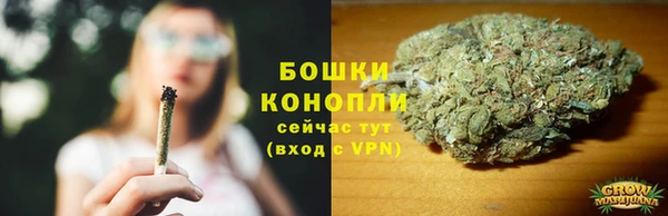 не бодяженный Горно-Алтайск
