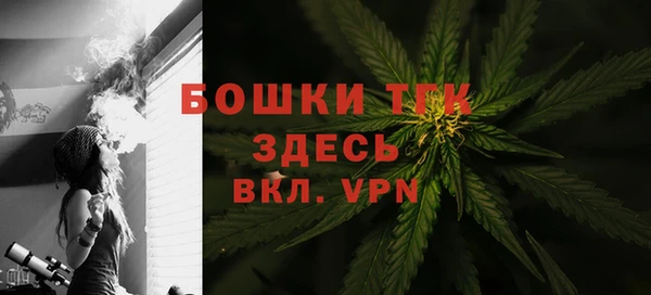 ПСИЛОЦИБИНОВЫЕ ГРИБЫ Горняк