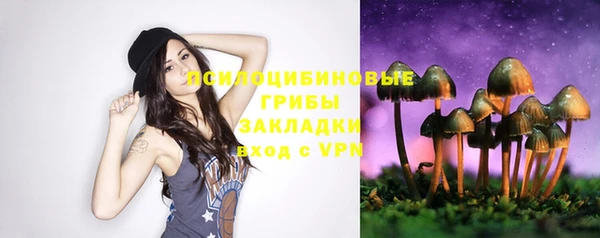 не бодяженный Горно-Алтайск