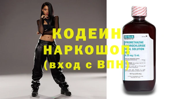 ПСИЛОЦИБИНОВЫЕ ГРИБЫ Горняк