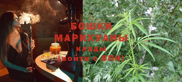 ПСИЛОЦИБИНОВЫЕ ГРИБЫ Горняк