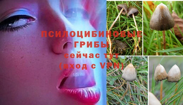 герыч Горнозаводск