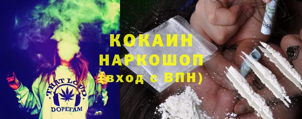 ПСИЛОЦИБИНОВЫЕ ГРИБЫ Горняк