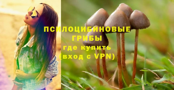 ПСИЛОЦИБИНОВЫЕ ГРИБЫ Горняк