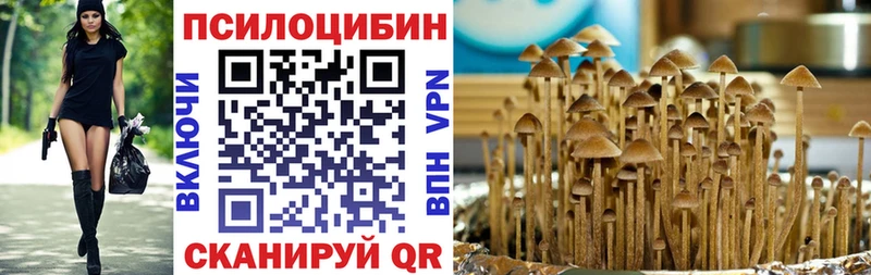 Галлюциногенные грибы Psilocybe  Купить где  Карталы 